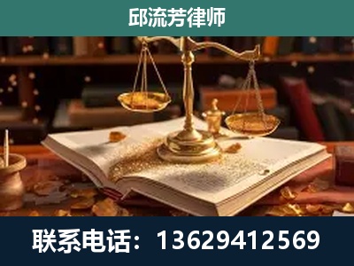 景洪-刑事案件
