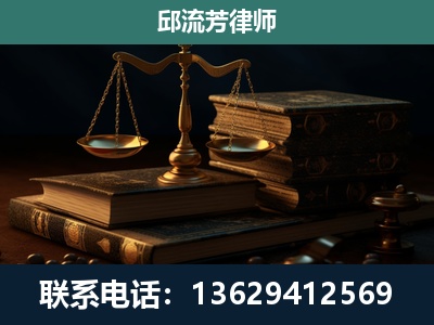 景洪-刑事案件